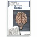 Frey Scientific Mini-Guide to Mammalian Brain Dissection, 12 Pages 420.4184.1